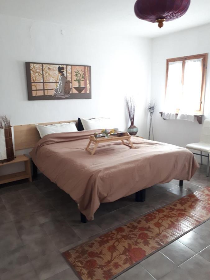 La Collina Olistica Bed & Breakfast Tregnago Exterior foto