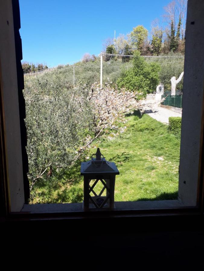 La Collina Olistica Bed & Breakfast Tregnago Exterior foto