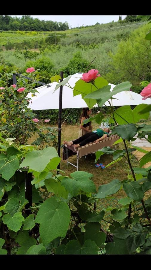 La Collina Olistica Bed & Breakfast Tregnago Exterior foto